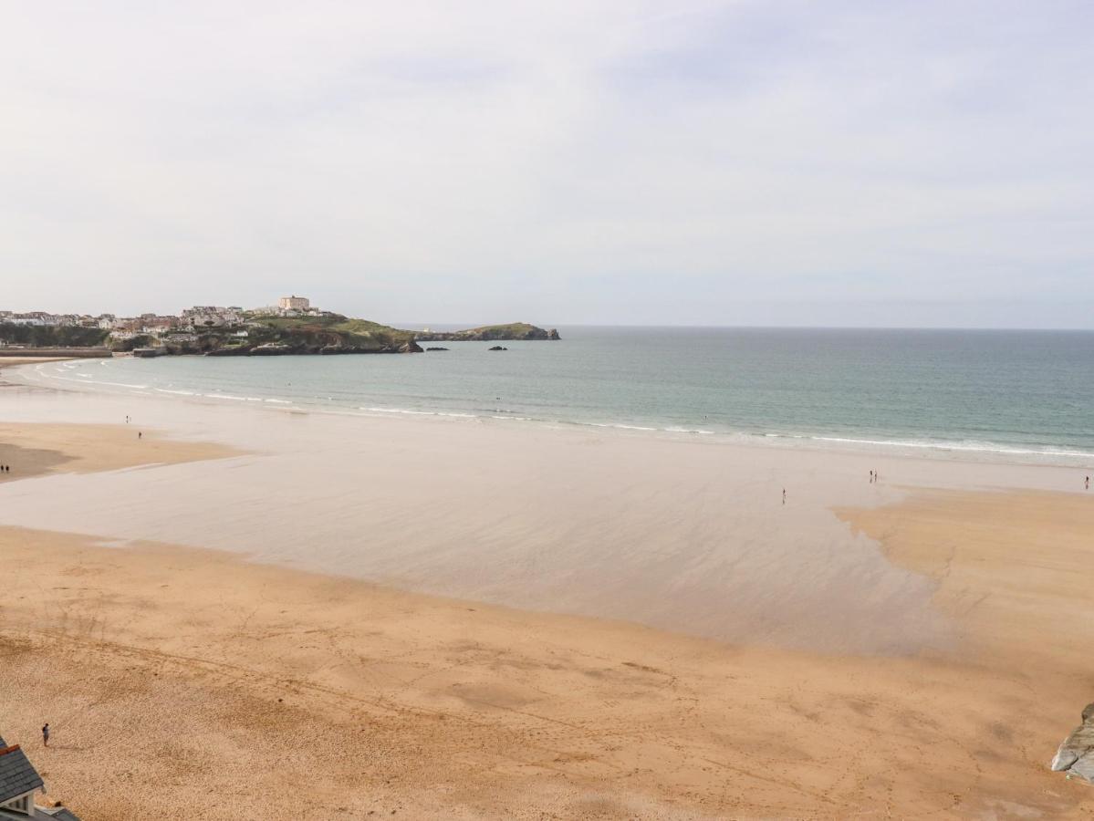Willa 6 Ocean Heights New Quay Zewnętrze zdjęcie